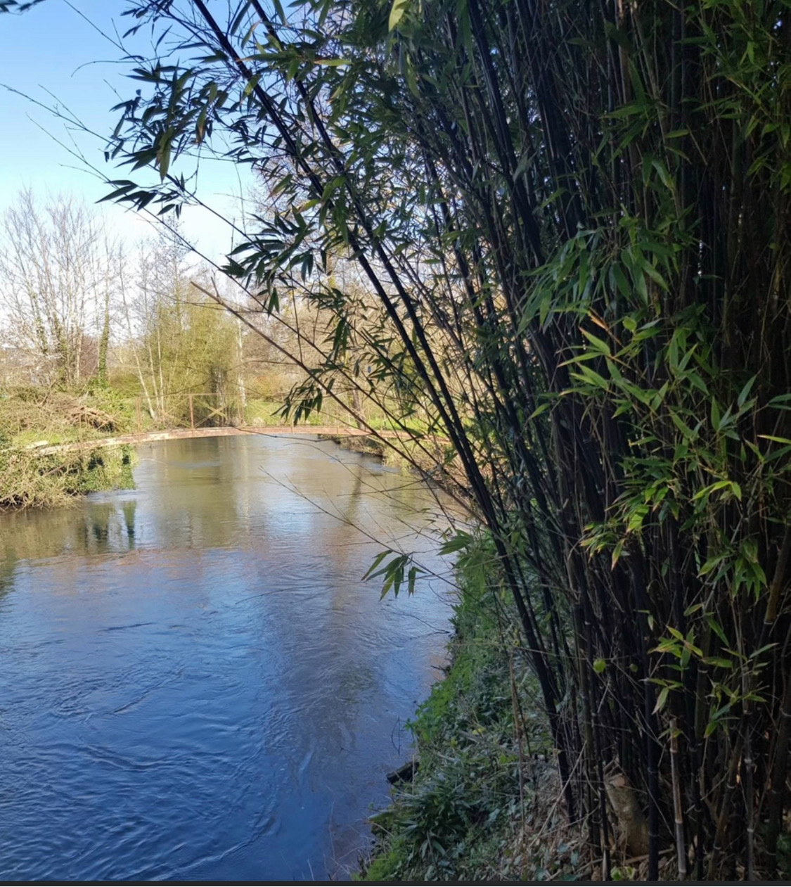 Immo80 – L'immobilier à Amiens et dans la Somme-Propriété d’exception au cœur de la Vallée de la Selle