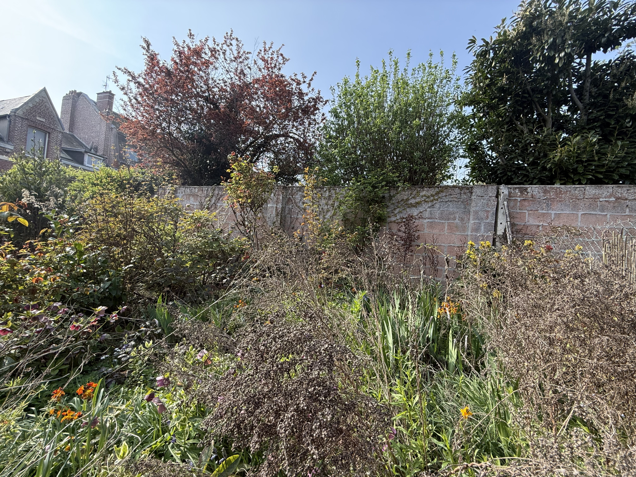 Immo80 – L'immobilier à Amiens et dans la Somme-MAISON T4 QUARTIER SAINT-ACHEUL – JARDIN