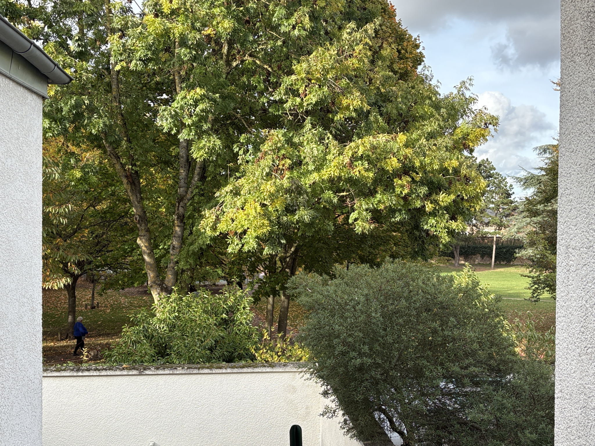 Immo80 – L'immobilier à Amiens et dans la Somme-Très belle maison de ville quartier Ste Anne