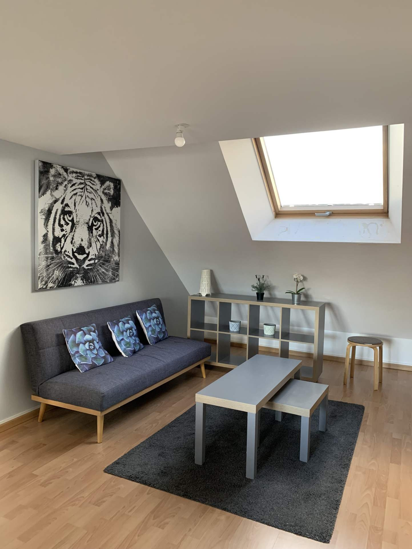 Immo80 – L'immobilier à Amiens et dans la Somme-BEAU TYPE 2 MEUBLÉ ST PIERRE AMIENS
